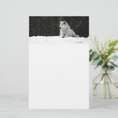 Snow Wolf (Standing Front)