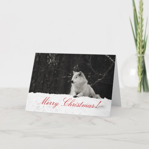 Snow Wolf Christmas Card
