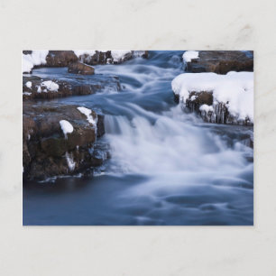 Snow World #3 Postcard