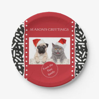 Snow Xmas Stationary and Gifts Paper Plates
