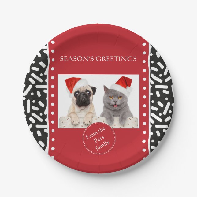 Snow Xmas Stationary and Gifts Paper Plates (Front)