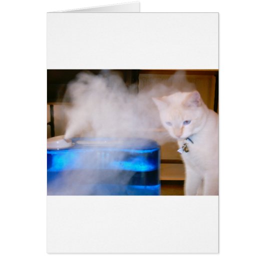 "Snowball in the Mist" Cards (Front)