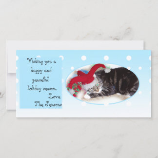 Snowball pet holiday card