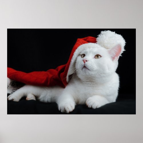 Snowball Santa Kitty Poster