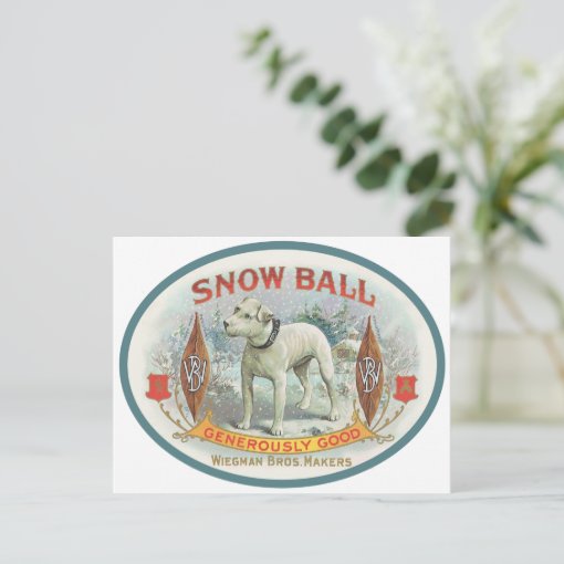 Snowball the Dog Postcard Zazzle