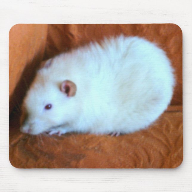 Snowball White Rat Mousepad (Front)