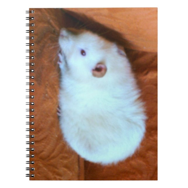 Snowball White Rat Notebook (Front)