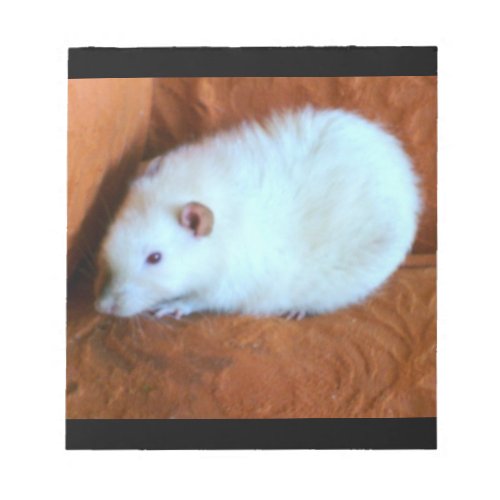 Snowball White Rat Notepad