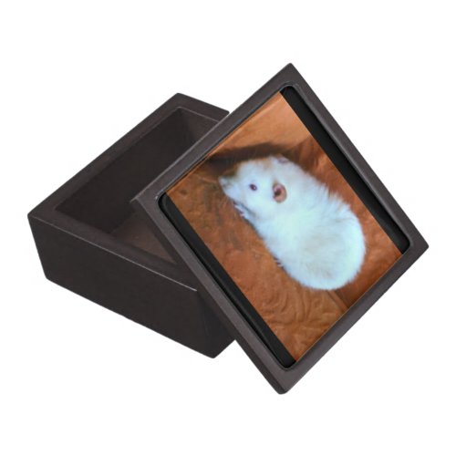 Snowball White Rat Premium Gift Box