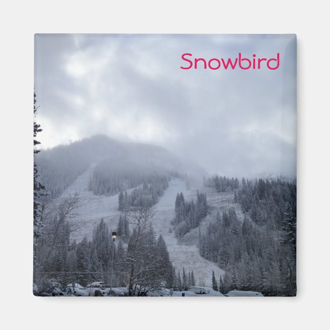Snowbird Magnet (Front)