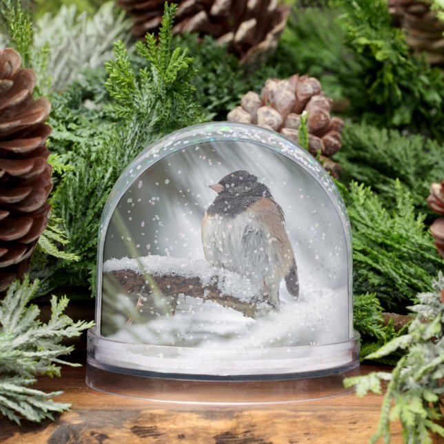 Snowbird Snow Globe (Winter)