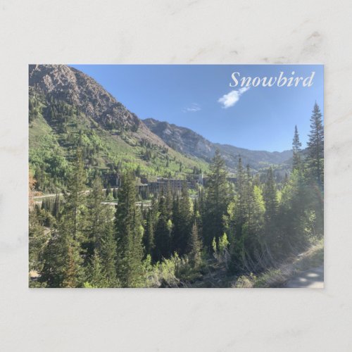 Snowbird _ summer postcard