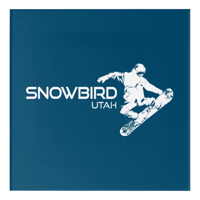 Snowbird Utah Snowboarder Acrylic Print (Front)