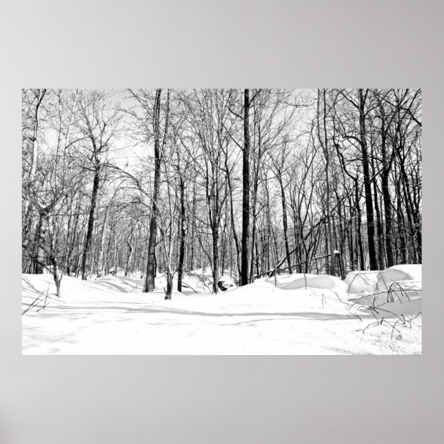 Snowblind Poster (Front)