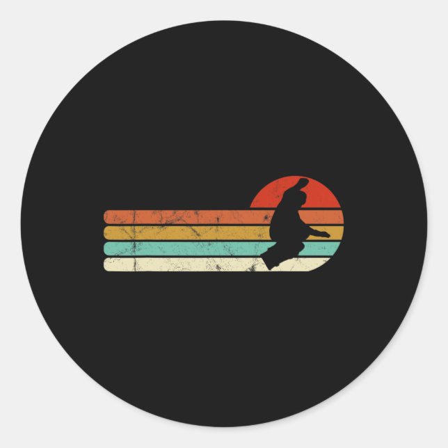 Snowboard Snowboarding Vintage Retro  Classic Round Sticker (Front)