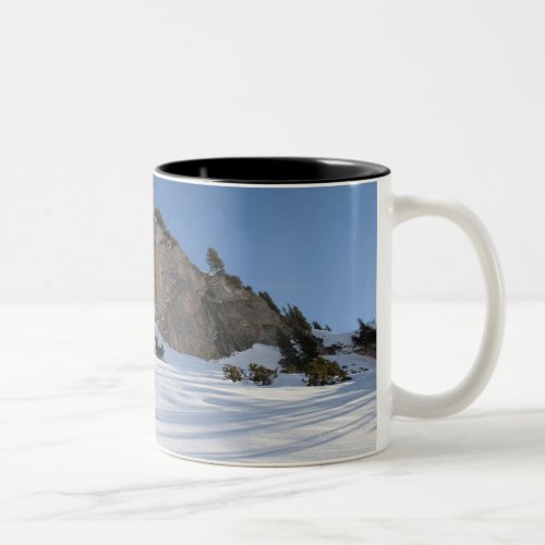 Snowboarder free riding Two_Tone coffee mug