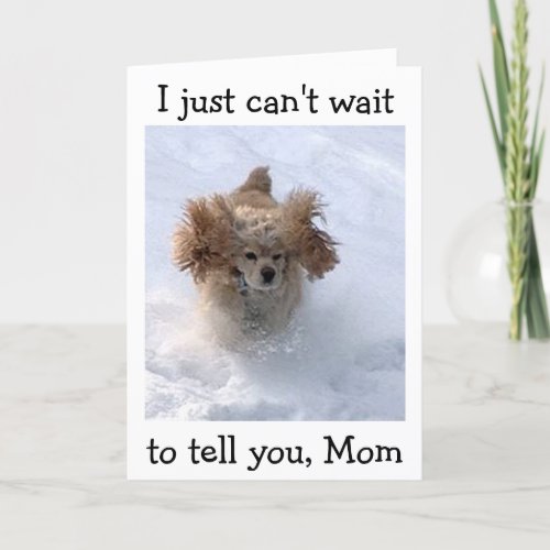 SNOWBOUND COMEDIC DOG FOR MOMS BIRTHDAY CARD