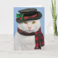 Snowcat Christmas Card