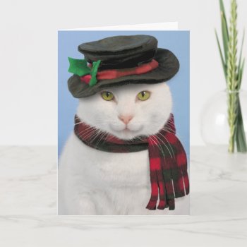 Snowcat Christmas Card by lamessegee at Zazzle