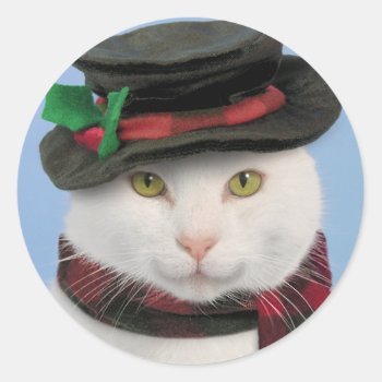 Snowcat Stickers by lamessegee at Zazzle