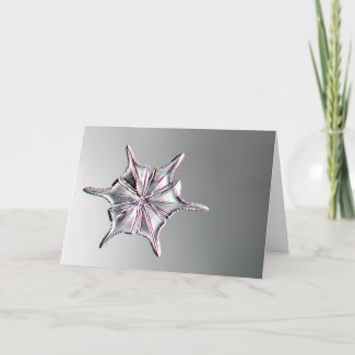 Snowcatcher Snowflake Greeting Card