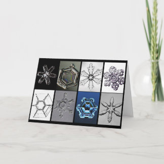 Snowcatcher Snowflakes enhanced Card
