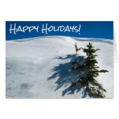 Snowdrift pine tree (Front Horizontal)