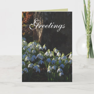 Snowdrop Card