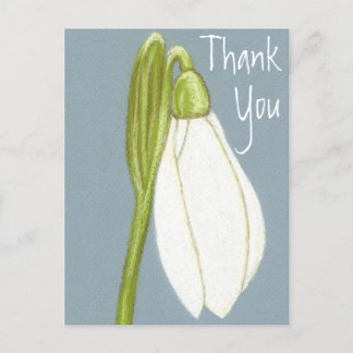 Snowdrop Flower Thank You Postcard