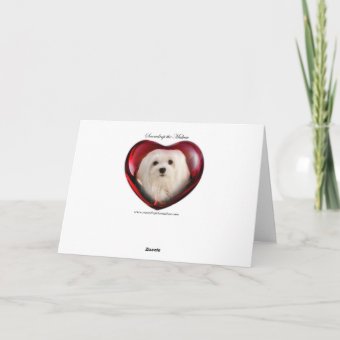 Snowdrop the Maltese Birthday Card | Zazzle