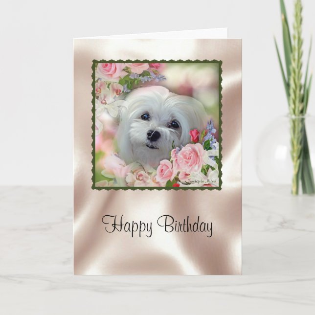 Snowdrop the Maltese Birthday Card (Front)