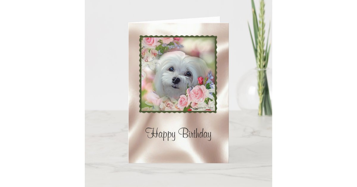 Snowdrop the Maltese Birthday Card Zazzle