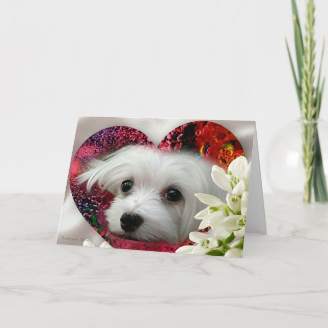 Snowdrop the Maltese Blank Greeting Card (Front)
