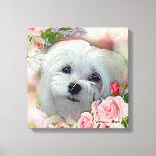 Snowdrop the Maltese Canvas Print