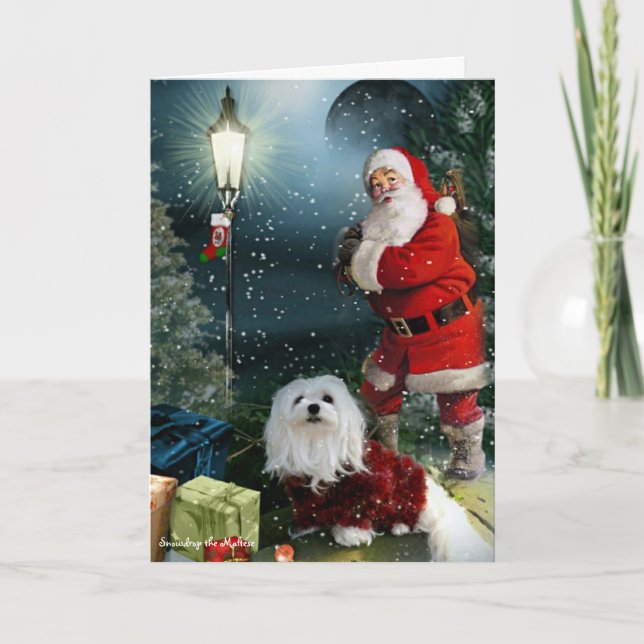 Snowdrop the Maltese Christmas Card (Front)