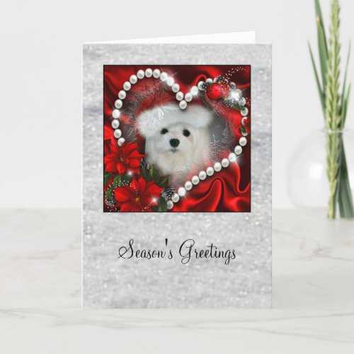 Snowdrop the Maltese Christmas Card