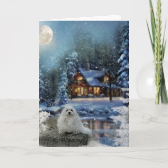 Snowdrop the Maltese Christmas Card (Front)