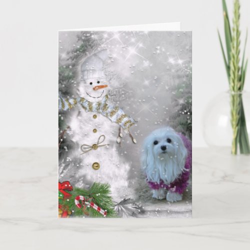 Snowdrop the Maltese Christmas Card