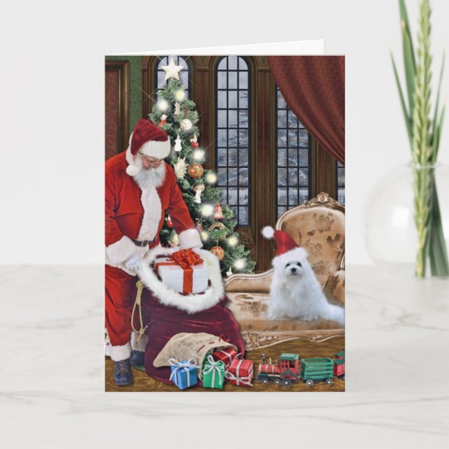 Snowdrop the Maltese Christmas Card (Front)