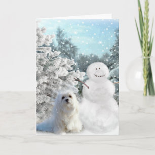 Snowdrop the Maltese Christmas Card