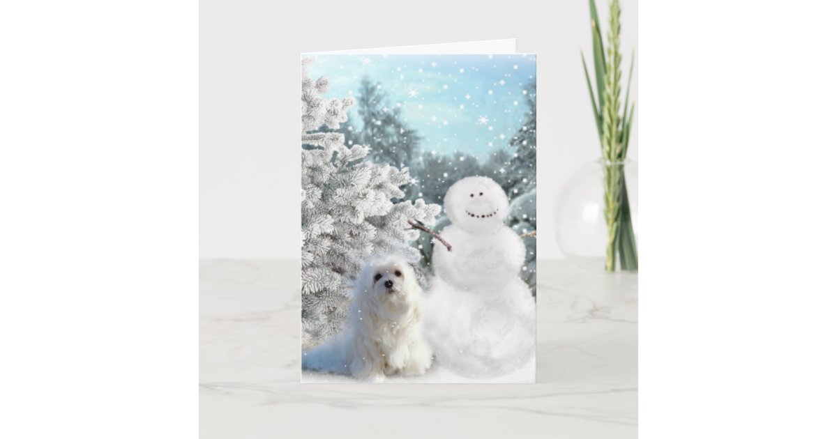 Snowdrop the Maltese Christmas Card Zazzle