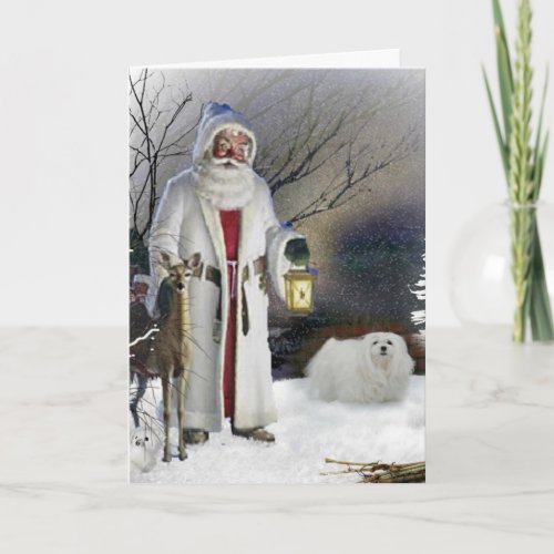 Snowdrop the Maltese Christmas Card