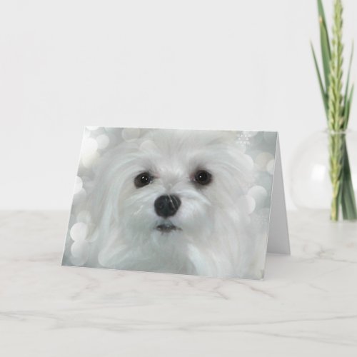 Snowdrop the Maltese ChristmasGreeting Card