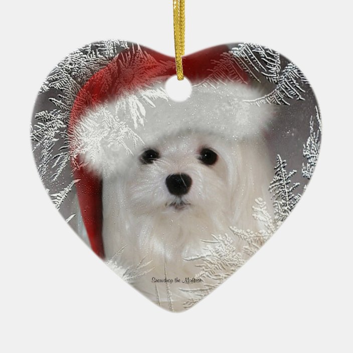 maltese christmas ornament