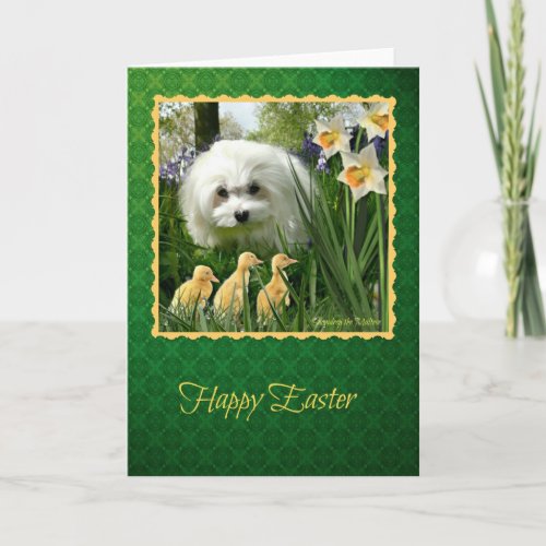 Snowdrop the Maltese Easter Greeting Card