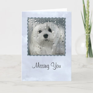 Snowdrop the Maltese Greeting Card (Missing You)