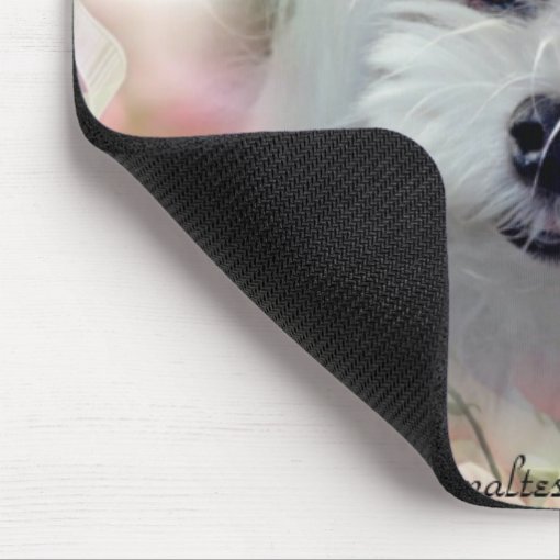 Caroline S Treasures mouse/Hot Pad/Trivet, Garcia da spesa (8130MP