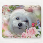 Snowdrop The Maltese Mouse Pad at Zazzle