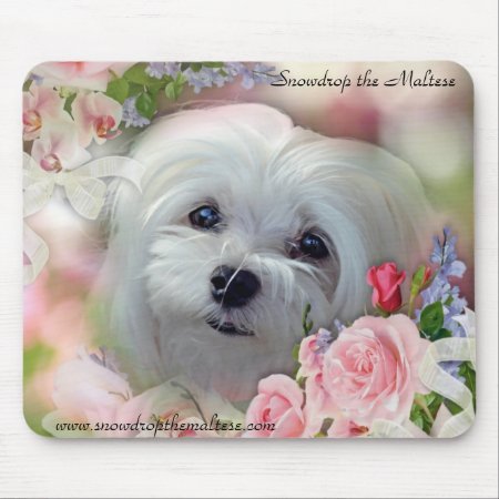 Snowdrop The Maltese Mouse Pad