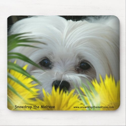 Snowdrop the Maltese Mouse Pad